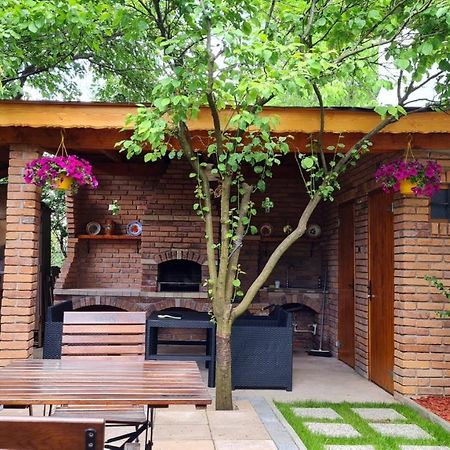 Cozy House With Nice Garden In Heart Of City Center Villa Cluj-Napoca Eksteriør billede
