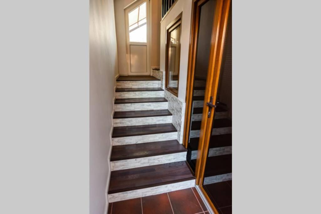 Cozy House With Nice Garden In Heart Of City Center Villa Cluj-Napoca Eksteriør billede