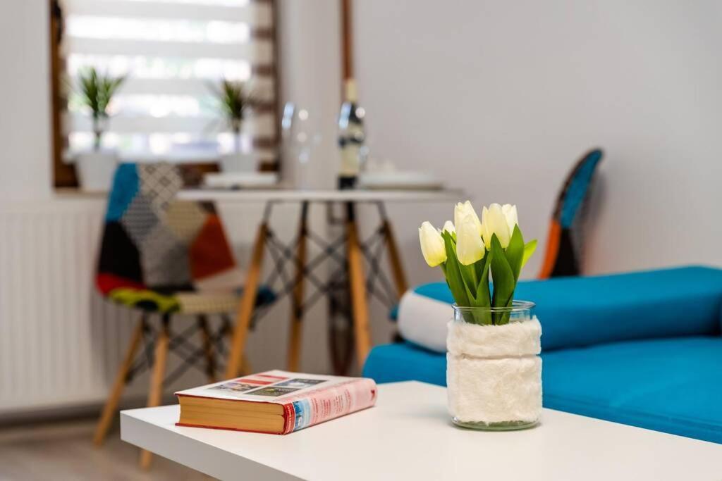 Cozy House With Nice Garden In Heart Of City Center Villa Cluj-Napoca Eksteriør billede