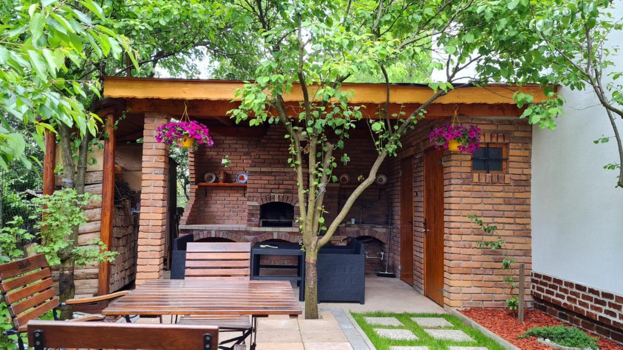 Cozy House With Nice Garden In Heart Of City Center Villa Cluj-Napoca Eksteriør billede